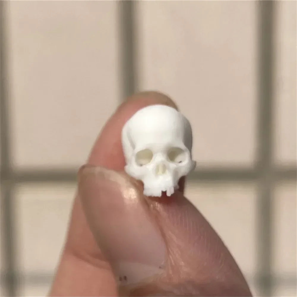 High-quality Mini Skull Model Mini Human Skull Model Halloween Home Decoration Dollhouse Plant Fish Tank Decoration