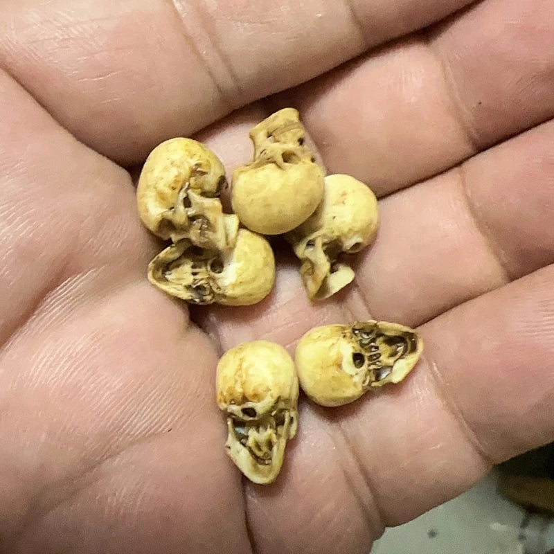 High-quality Mini Skull Model Mini Human Skull Model Halloween Home Decoration Dollhouse Plant Fish Tank Decoration
