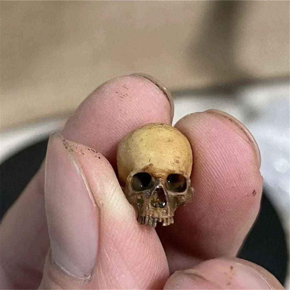 High-quality Mini Skull Model Mini Human Skull Model Halloween Home Decoration Dollhouse Plant Fish Tank Decoration