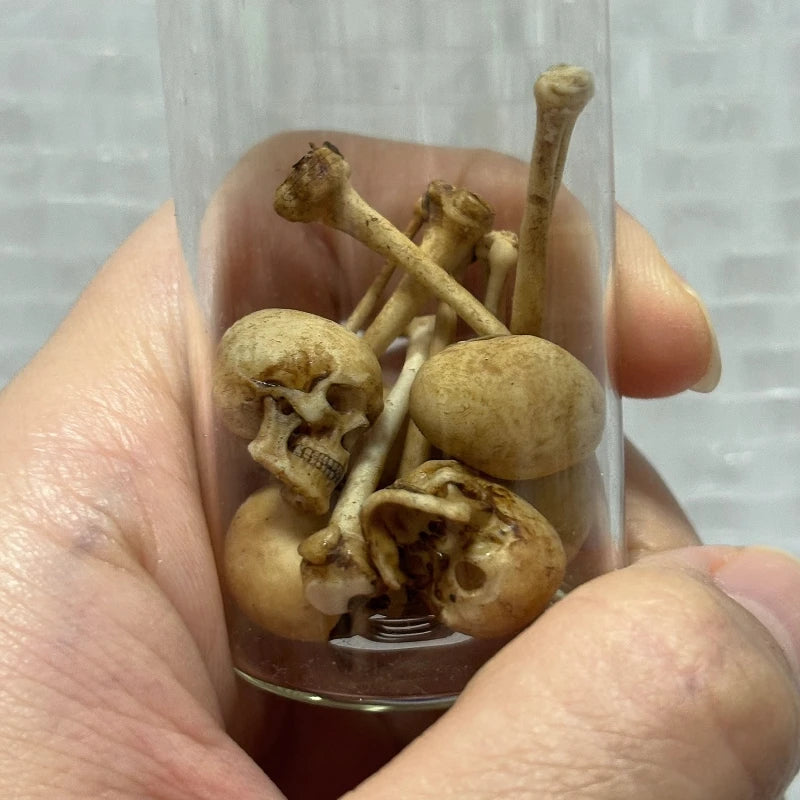 High-quality Mini Skull Model Mini Human Skull Model Halloween Home Decoration Dollhouse Plant Fish Tank Decoration