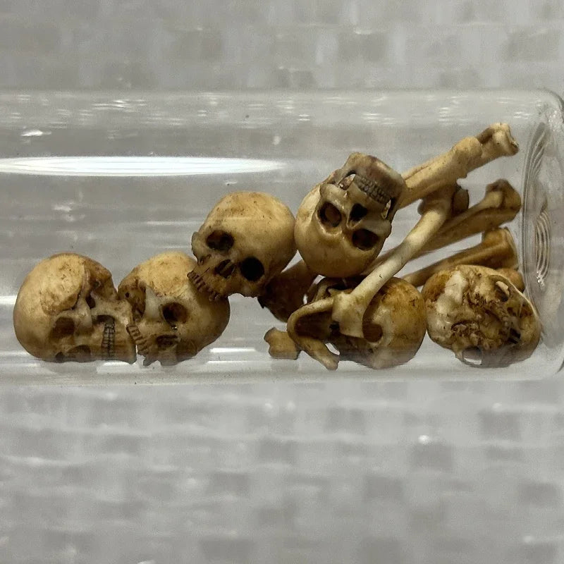 High-quality Mini Skull Model Mini Human Skull Model Halloween Home Decoration Dollhouse Plant Fish Tank Decoration