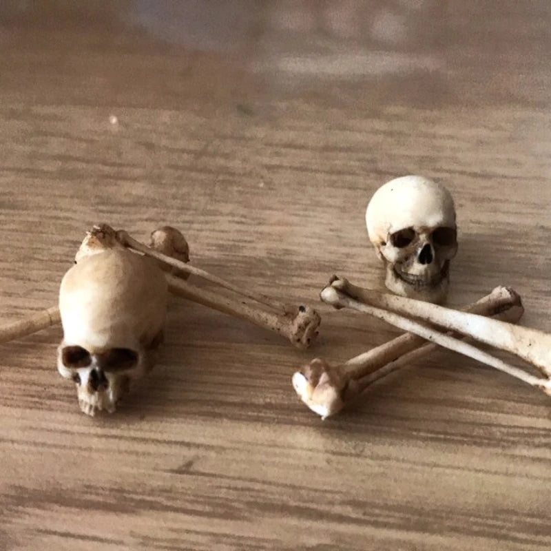 High-quality Mini Skull Model Mini Human Skull Model Halloween Home Decoration Dollhouse Plant Fish Tank Decoration