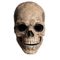 Movable Jaw Mask Non-Toxic Skull Mask Latex Headgear Tear-Resistant Full Head Skull Helmet For Outdoor Decorations Halloween