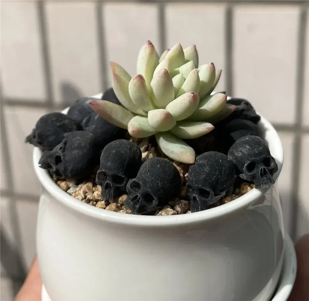 High-quality Mini Skull Model Mini Human Skull Model Halloween Home Decoration Dollhouse Plant Fish Tank Decoration